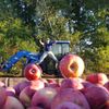 Hill Orchard gift card