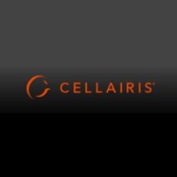 Cellairis Fayetteville