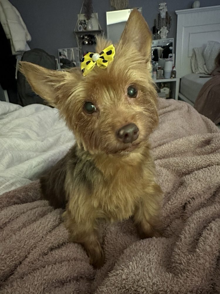 BUBBLES N BONES Updated October 2024 26 Photos & 22 Reviews