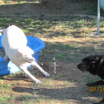 Paws & Claws - Pet Sitting Near Me - Fallbrook, California