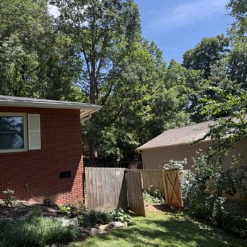 United Tree Service - The tree removed - Tree Services Near Me United Tree Service - The tree removed - Tree Services Near Me