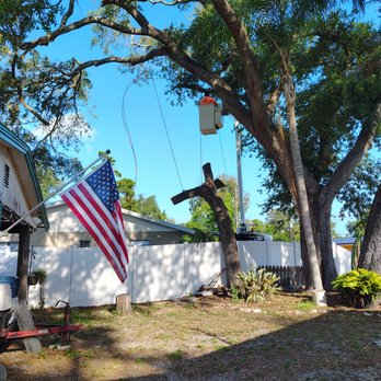 941 Tree Services - Tree Services Near Me - Sarasota, Florida