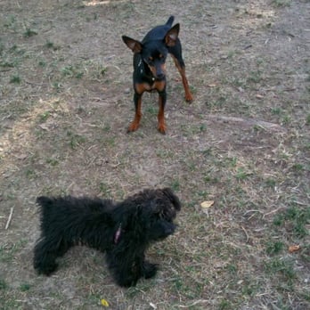 Winchester Dog Park - Spike - Dog Parks Near Me - Winchester, Virginia Winchester Dog Park - Spike - Dog Parks Near Me - Winchester, Virginia