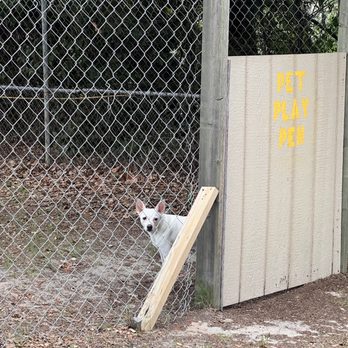 Swell Motel - Pet area - Hotels Near Me - Buxton, North Carolina Swell Motel - Pet area - Hotels Near Me - Buxton, North Carolina