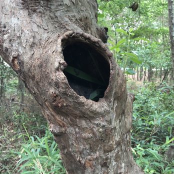 Sesquicentennial State Park - Parks Near Me - Columbia, South Carolina