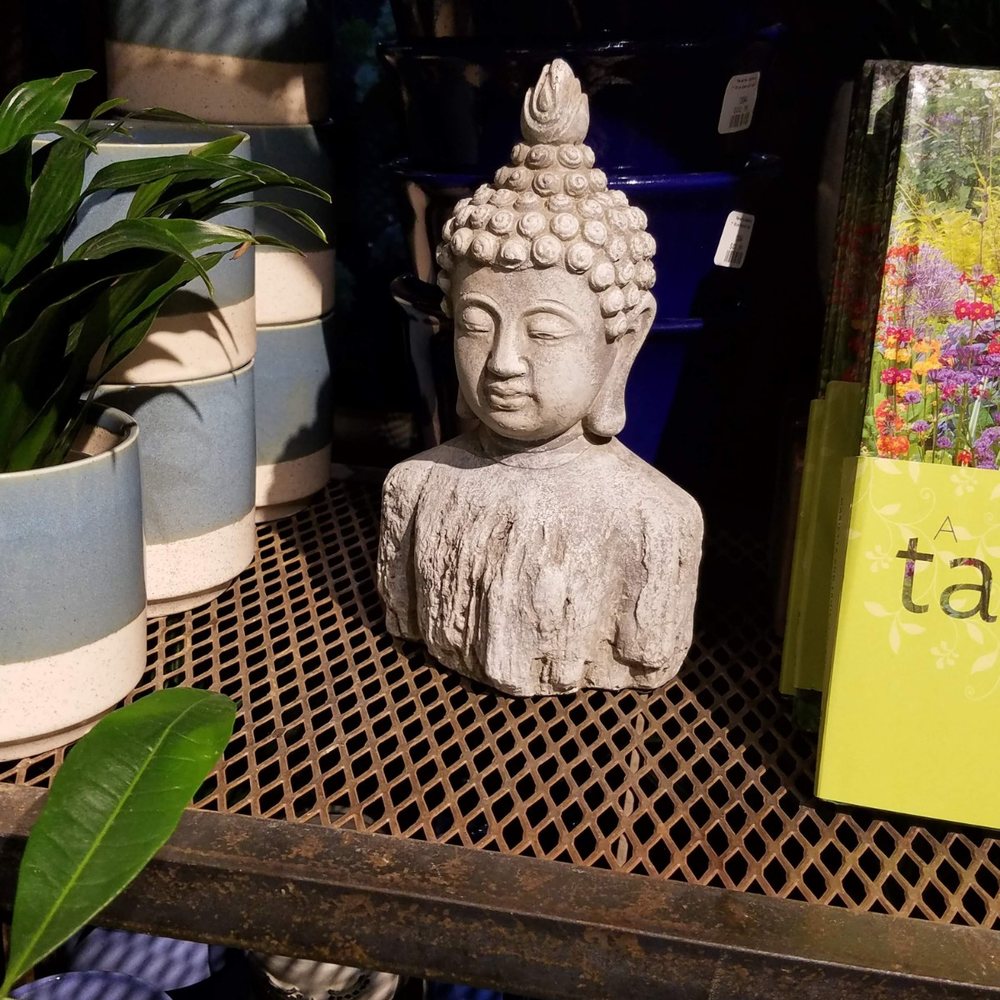 Ravenna Gardens - Nurseries & Gardening Near Me - Seattle, Washington