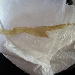 McDonald's - Old lettuce in chix sandwich.