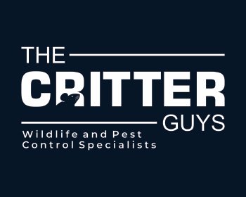 The Critter Guys on Yelp