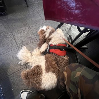Nibs Restaurant - Medical service animal sitting calmly as I'm being harassed - American Near Me - Oakland, California Nibs Restaurant - Medical service animal sitting calmly as I'm being harassed - American Near Me - Oakland, California