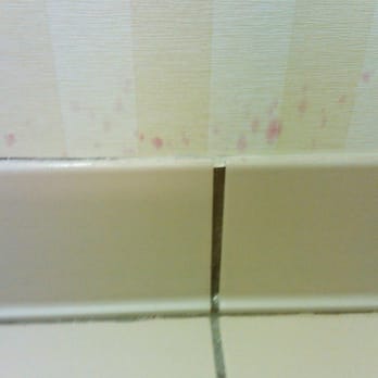 Fairfield Inn Burlington Williston - weird pink splotches on the right side wallpaper - Hotels Near Me - Williston, Vermont Fairfield Inn Burlington Williston - weird pink splotches on the right side wallpaper - Hotels Near Me - Williston, Vermont