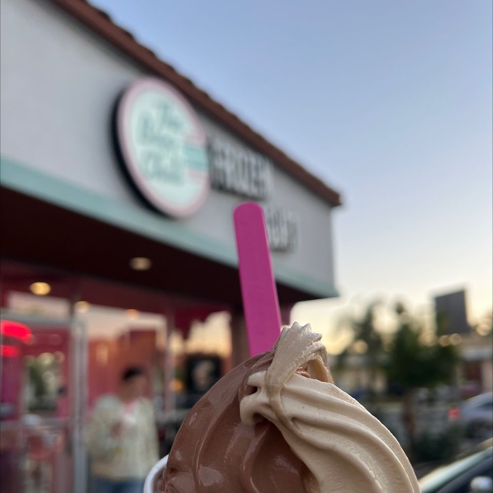 THE BIGG CHILL FROZEN YOGURT 482 Photos & 869 Reviews 10850 W