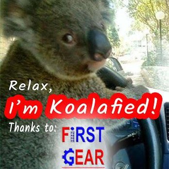 First Gear Driving Academy - Driving Schools Near Me First Gear Driving Academy - Driving Schools Near Me