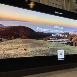 Apple Store - 3/16/26