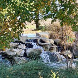 Chino Creek Wetlands and Educational Park - Mini waterfalls
