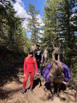 Paragon Guides by null