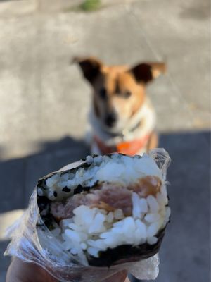 Lazybird Coffee by null