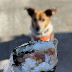 Lazybird Coffee - Spam musubi