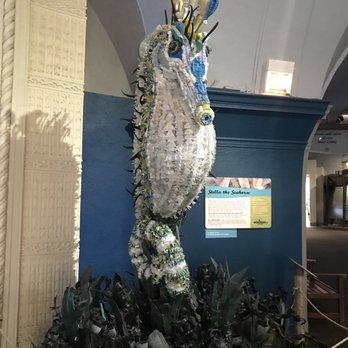 Shedd Aquarium - Aquariums Near Me - Chicago, Illinois