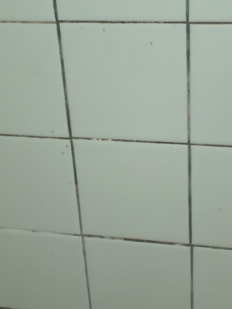 Slide of American Integrity Contracting