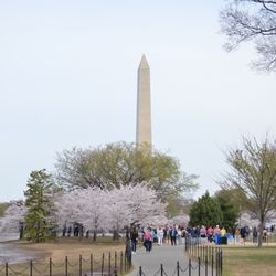 Dc Guided Tours