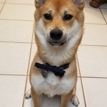 Petco - Pet Stores Near Me - West Valley City, Utah