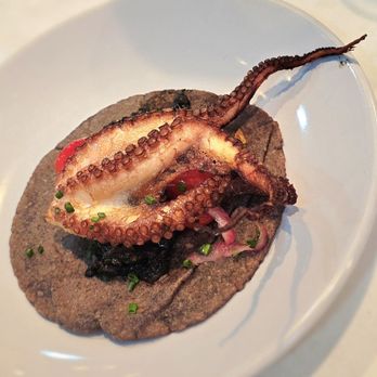 Holbox - Octopus Taco - Latin American Near Me - Los Angeles, California Holbox - Octopus Taco - Latin American Near Me - Los Angeles, California