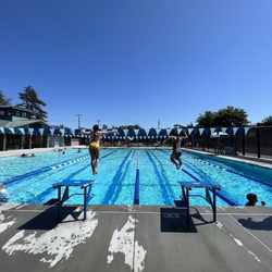 Farrelly Pool