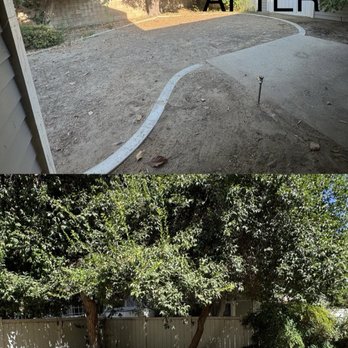 Central Valley Tree Service - Tree Services Near Me - Bakersfield, California Central Valley Tree Service - Tree Services Near Me - Bakersfield, California