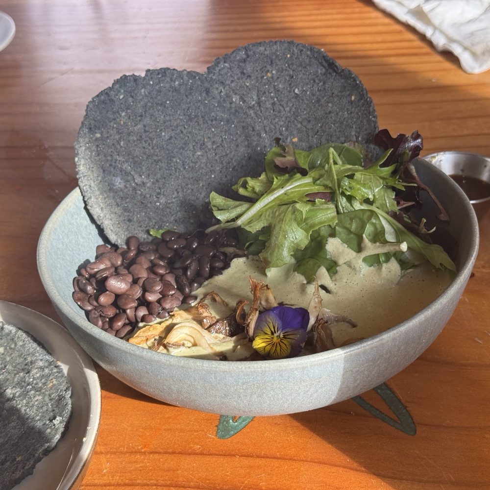 Wahpepah’s Kitchen - Wild Native Mushroom Pumpkin Seed Mole - Salad Near Me - Oakland, California Wahpepah’s Kitchen - Wild Native Mushroom Pumpkin Seed Mole - Salad Near Me - Oakland, California