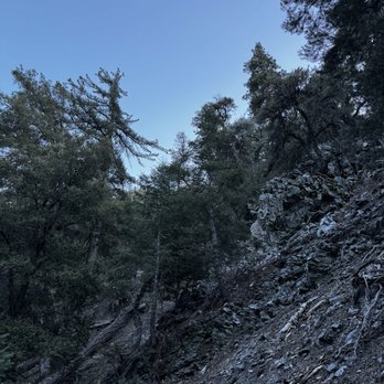 Enchanted Forest Trailhead - Mountainside - Hiking Near Me - Pine Mountain Club, California Enchanted Forest Trailhead - Mountainside - Hiking Near Me - Pine Mountain Club, California