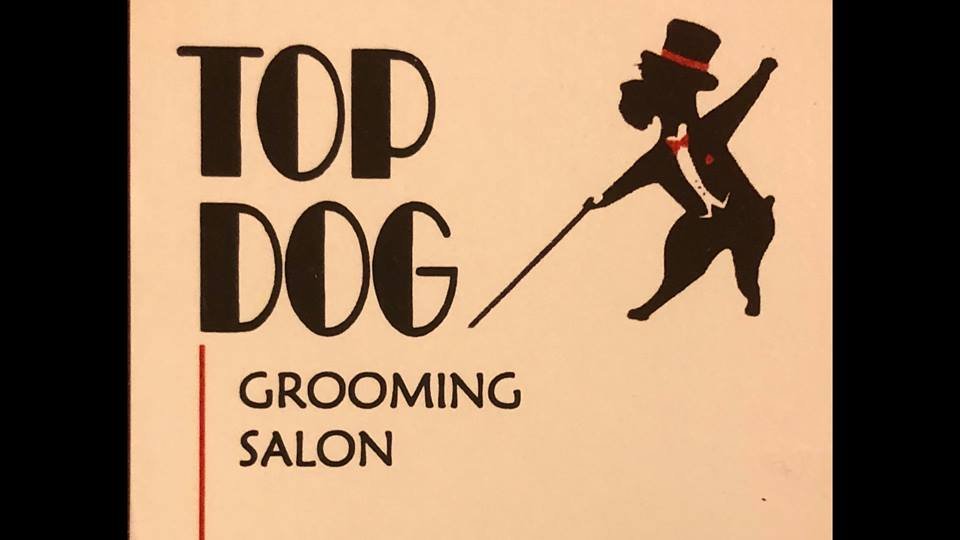 TOP DOG GROOMING SALON Updated August 2024 1309 7th Ave NE, Minot