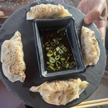 Musashi Sushi Lounge - Steamed Gyoza - Sushi Bars Near Me - Orlando, Florida