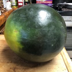 Takemori Farms - Takamori Watermelon