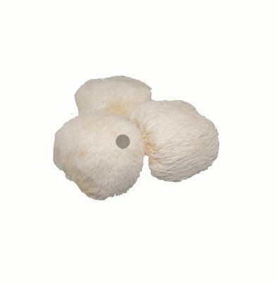 The Hemp Social - Downtown THC, CBD, KRATOM, KAVA, WELLNESS MUSHROOMS, NOOTROPICS & MAD HONEY! by null