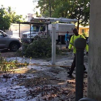 Affordable Tree Service Inc. - Tree Service Miami - Jeanvil (in yellow), his dad (in blue) and a bucket truck belonging to LEWIS Tree Service arriving on Sunday 08/04/19. - Tree Services Near Me - Miami, Florida Affordable Tree Service Inc. - Tree Service Miami - Jeanvil (in yellow), his dad (in blue) and a bucket truck belonging to LEWIS Tree Service arriving on Sunday 08/04/19. - Tree Services Near Me - Miami, Florida