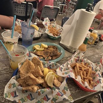 Tacky Jack's 2 - Bars Near Me - Gulf Shores, Alabama Tacky Jack's 2 - Bars Near Me - Gulf Shores, Alabama