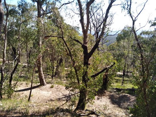 Cleland National Park by null