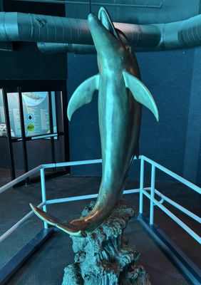 Texas State Aquarium by null
