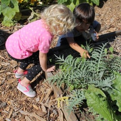 Tender Care Eco-Friendly Pre-school & Child Care - Checking for Roly Poly's at the Community Garden.