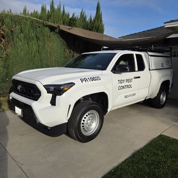 Tidy Pest Control - Pest Control Near Me - Norwalk, California Tidy Pest Control - Pest Control Near Me - Norwalk, California