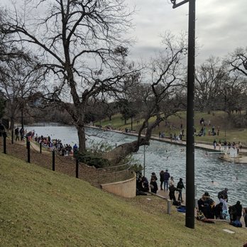 Barton Springs Pool - #polarplunge2018 - Swimming Pools Near Me - Austin, Texas Barton Springs Pool - #polarplunge2018 - Swimming Pools Near Me - Austin, Texas