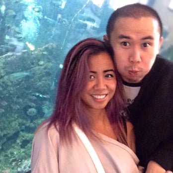 Seattle Aquarium - His first time here! We love our aquariums. - Aquariums Near Me - Seattle, Washington Seattle Aquarium - His first time here! We love our aquariums. - Aquariums Near Me - Seattle, Washington