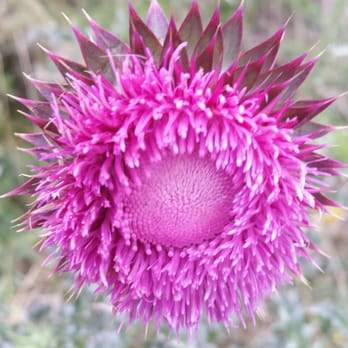 Matthews Winters Park - Parks Near Me - Golden, Colorado Matthews Winters Park - Parks Near Me - Golden, Colorado