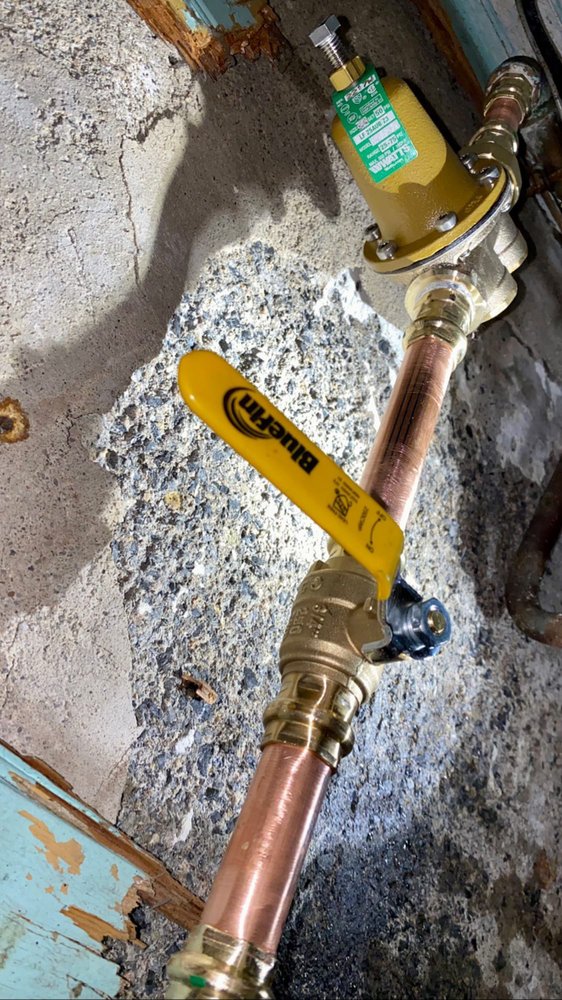 Slide of American Rooter