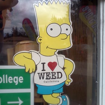 The Weed Store - Souvenir Shops Near Me - Weed, California