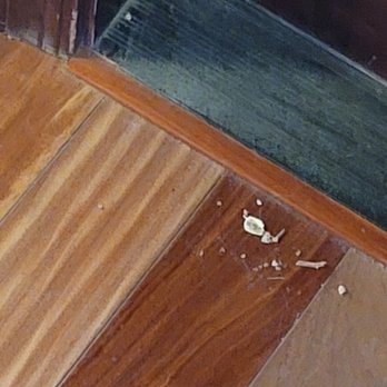 Shine Bright Housekeeping - They said this was a deep clean... - Home Cleaning Near Me Shine Bright Housekeeping - They said this was a deep clean... - Home Cleaning Near Me