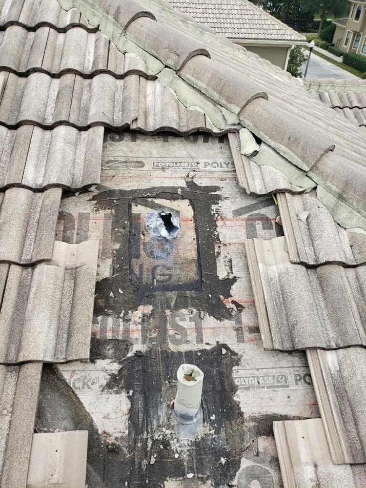 Slide of Roof Nation