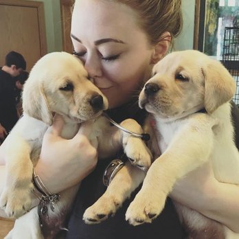 Suffern Animal Hospital - 10 Photos & 22 Reviews - Veterinarians ...