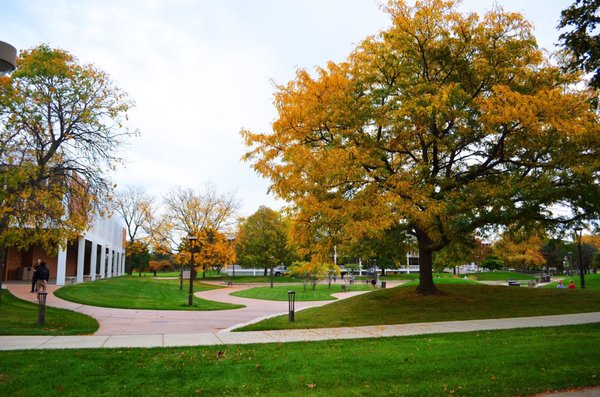 Triton College Foundation