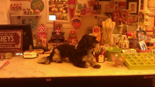 Tiddle E. Winks Vintage 5 & Dime by null